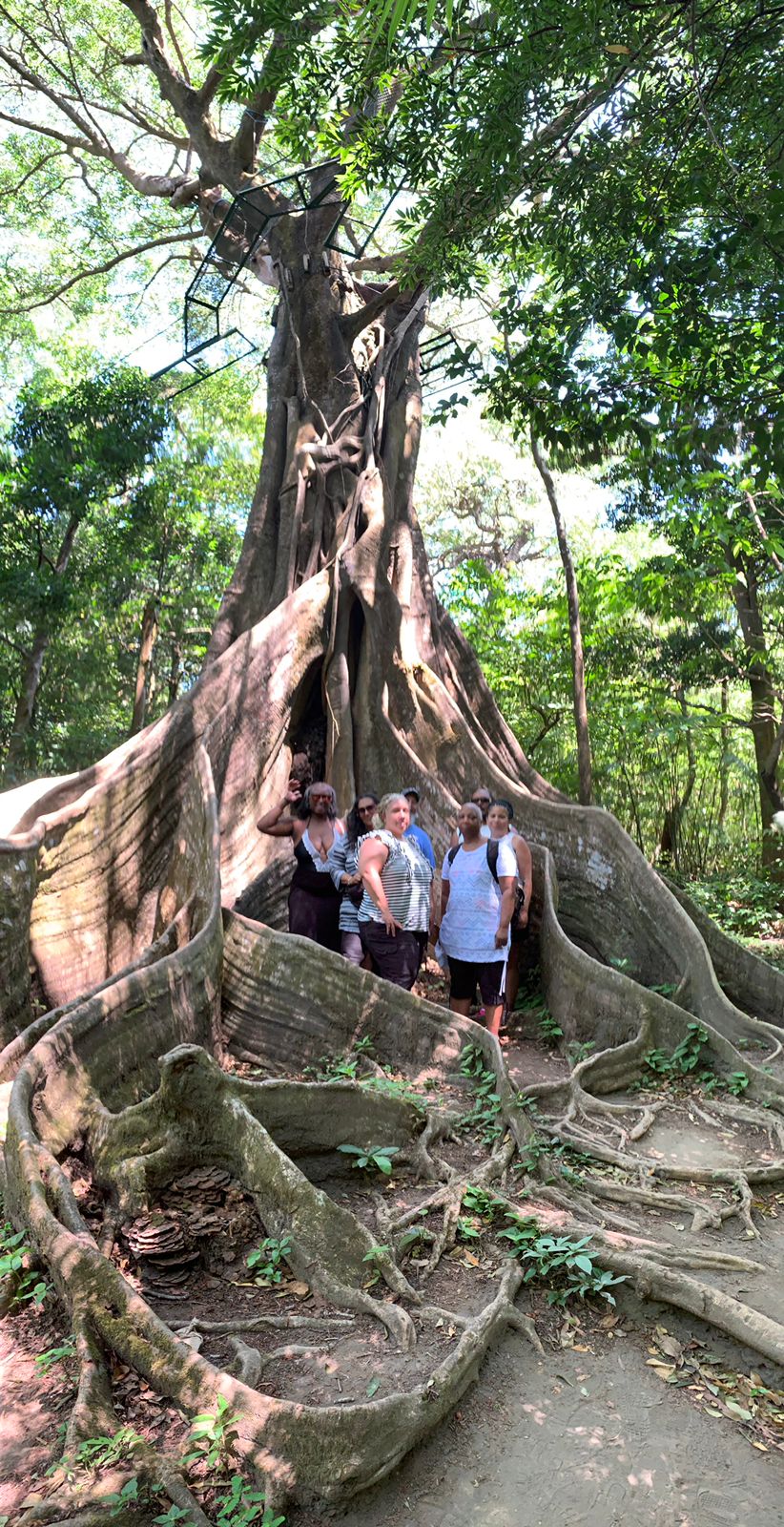 Rincón de la Vieja Mega Tour