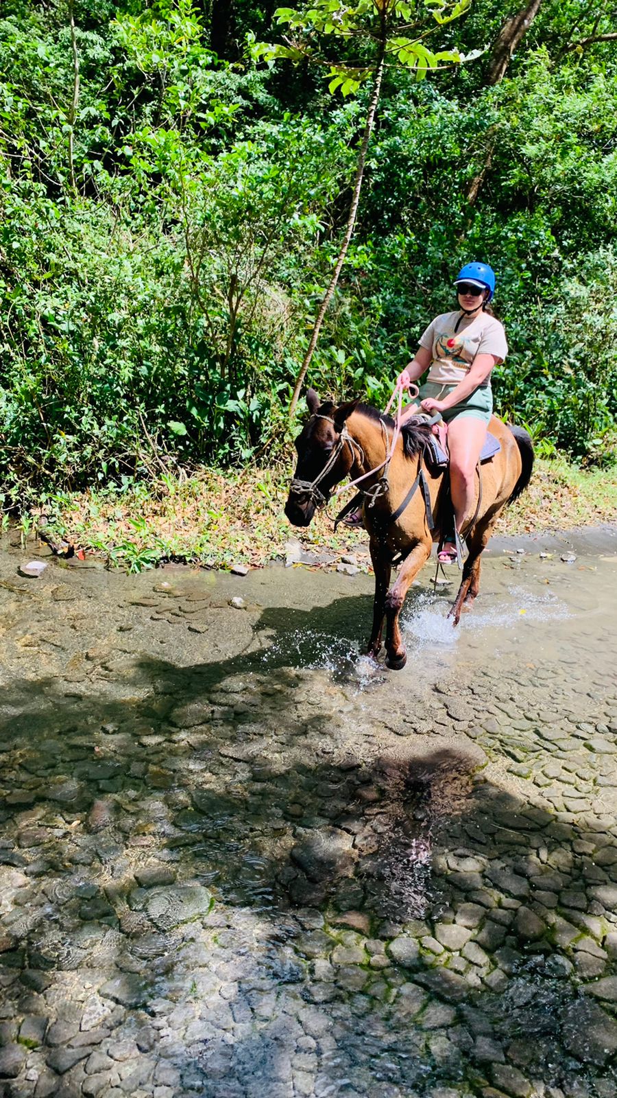 Horseback Riding