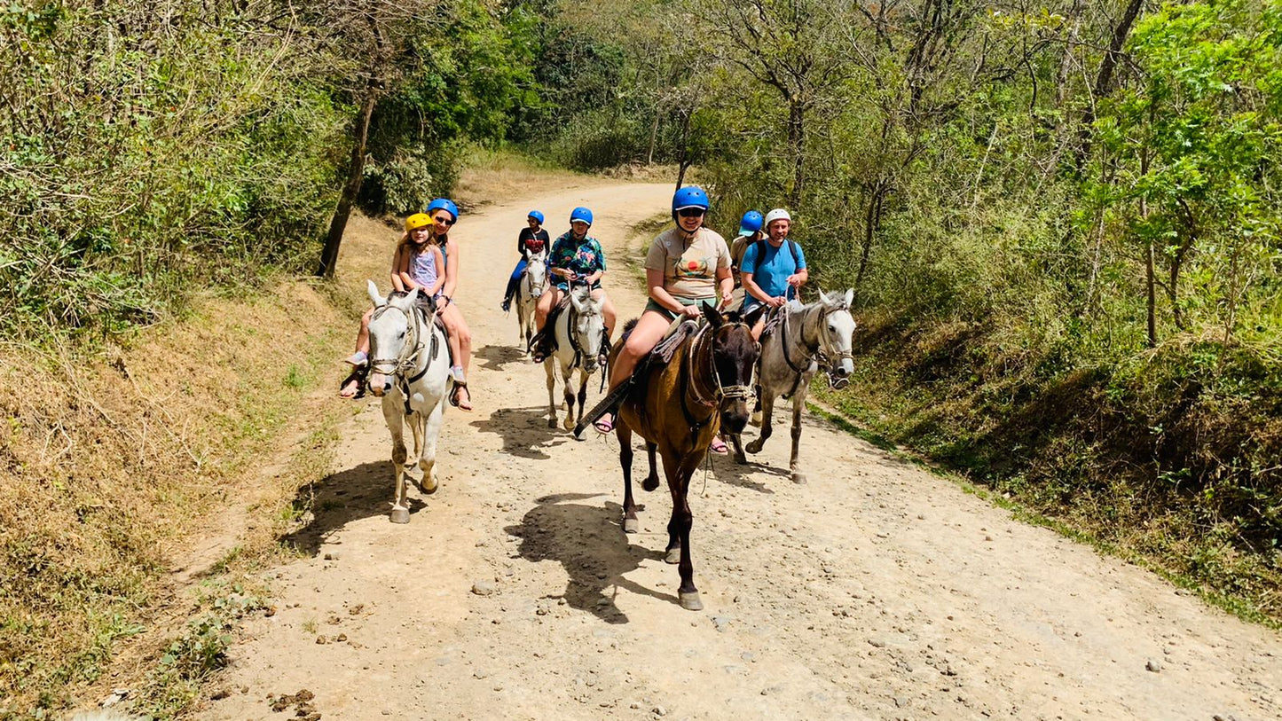 Horseback Riding